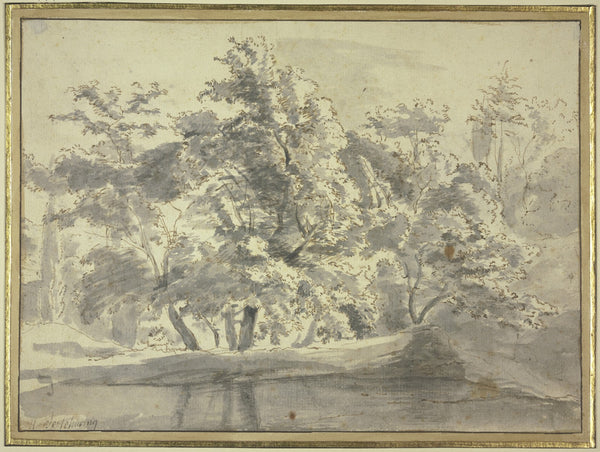 Tree section by the water