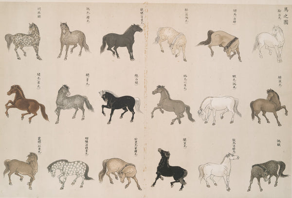An illustration of horses 1908