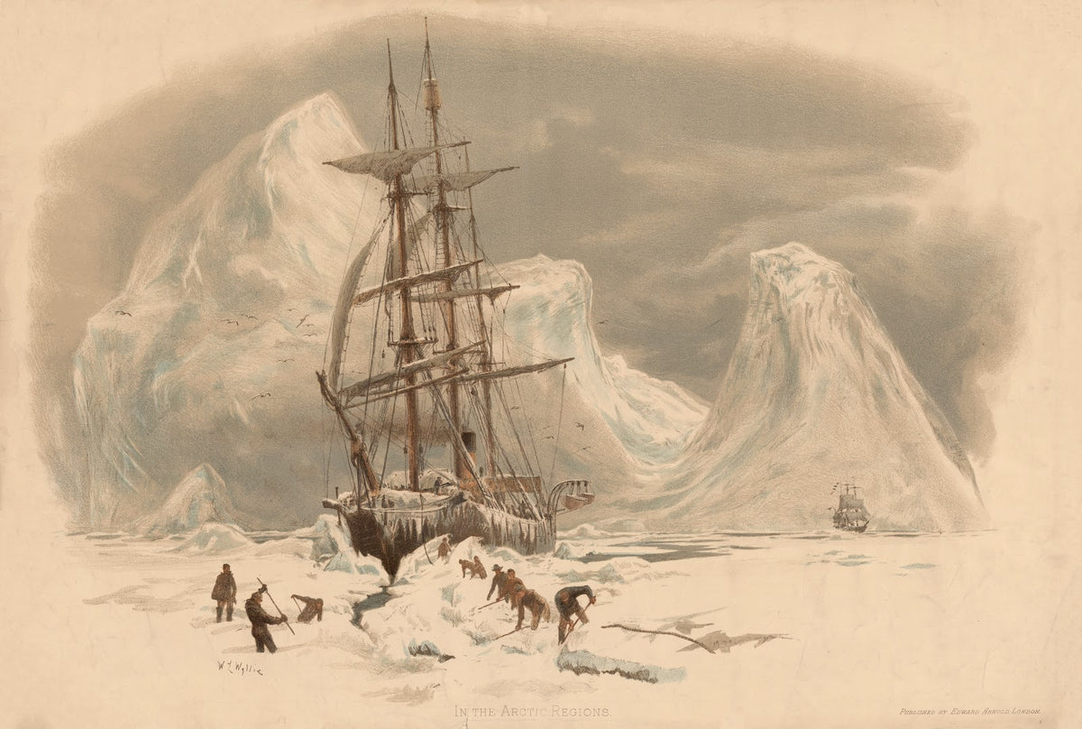 In the Arctic Regions 1907
