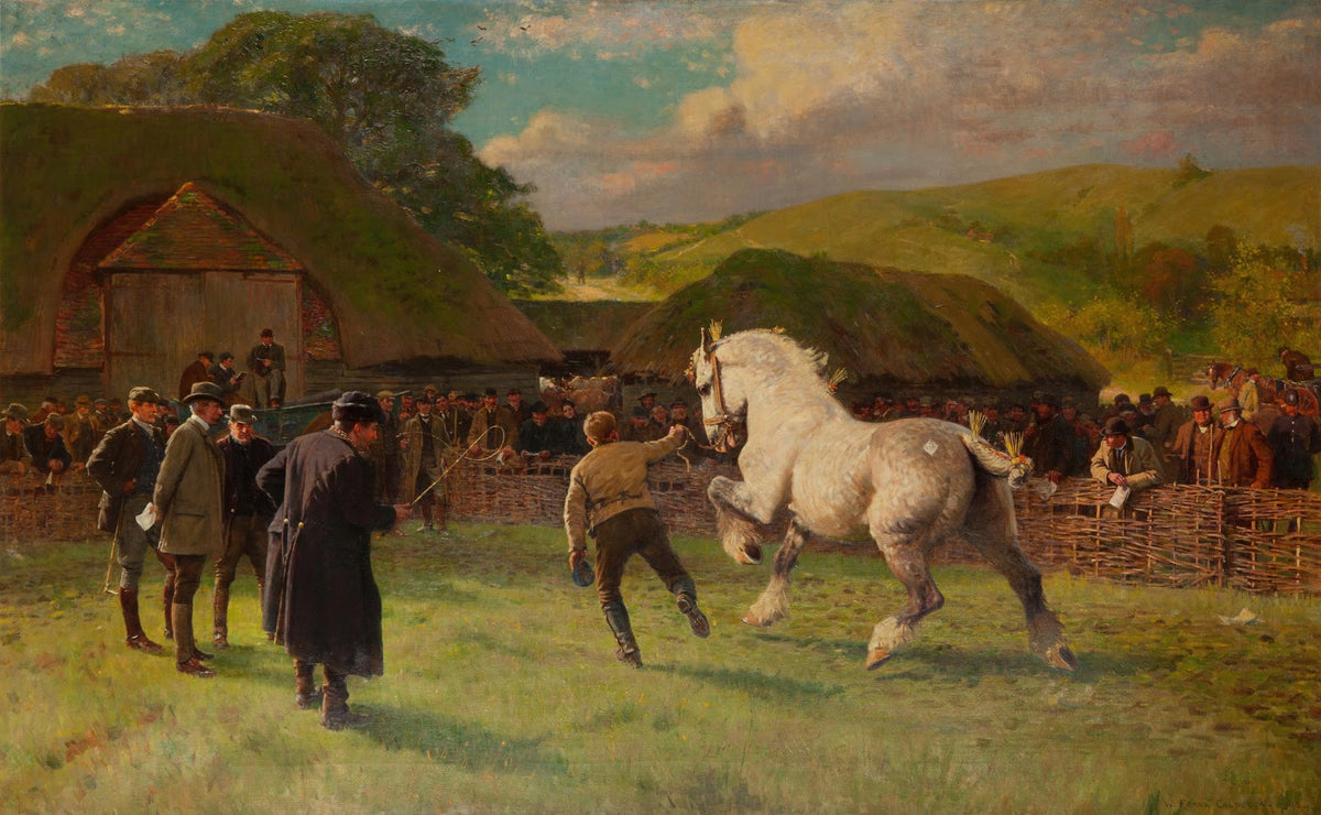 A grey mare