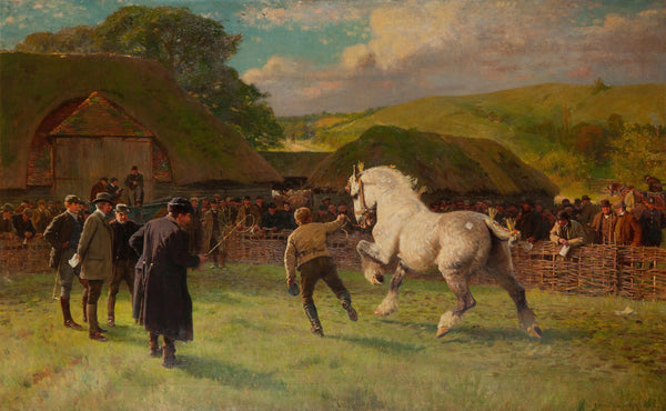 A grey mare