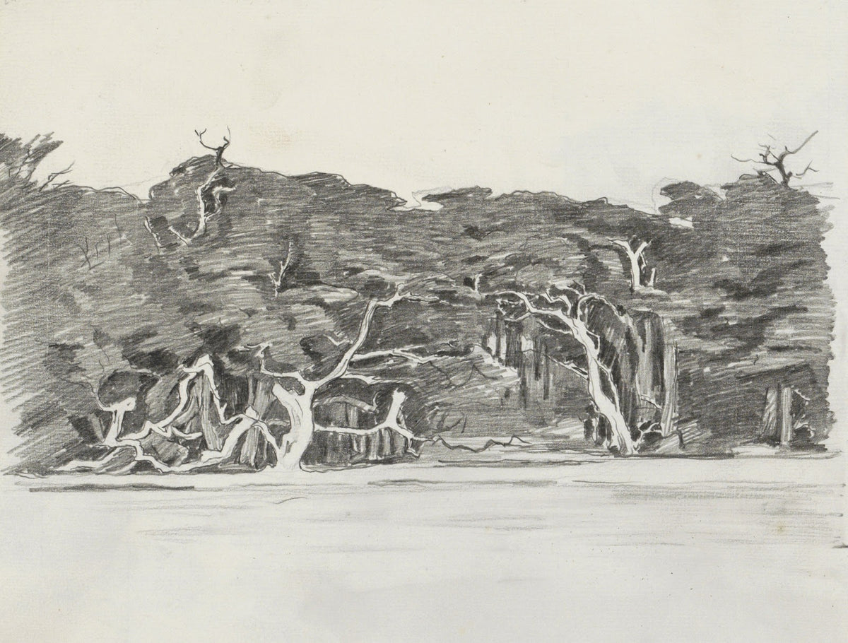 Kustgezicht met bomen mogelijk bij St Andrews te Canada 1915