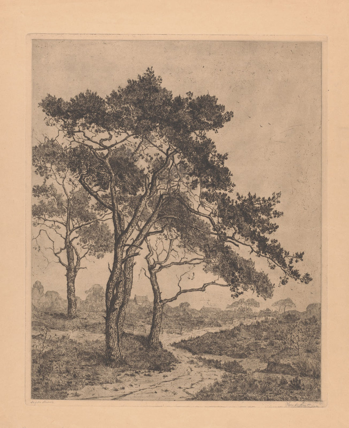 Landschap met dennenbomen 20th century