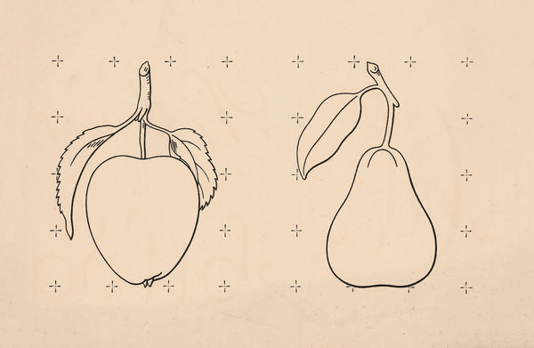Apple and pear 1879