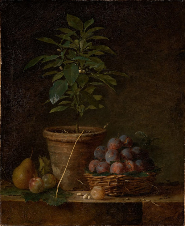 Das Orangenbäumchen ca 1763