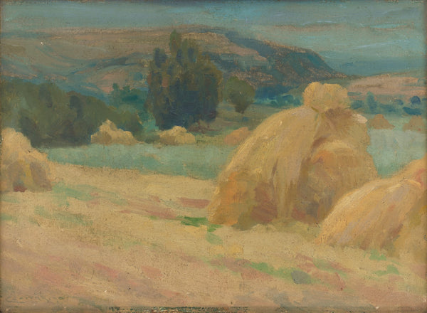 Summer 19041905