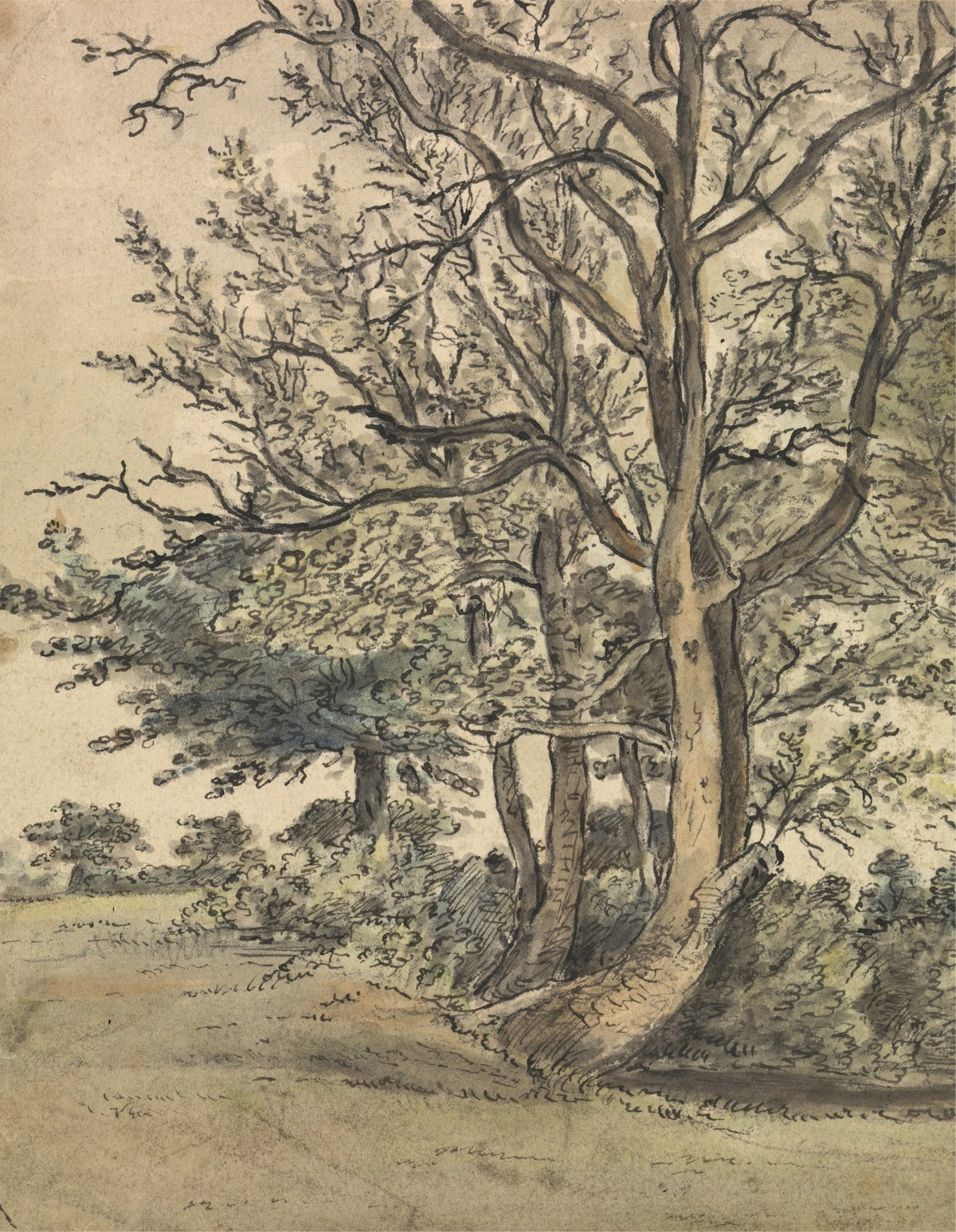 Part of Regents Park 1805