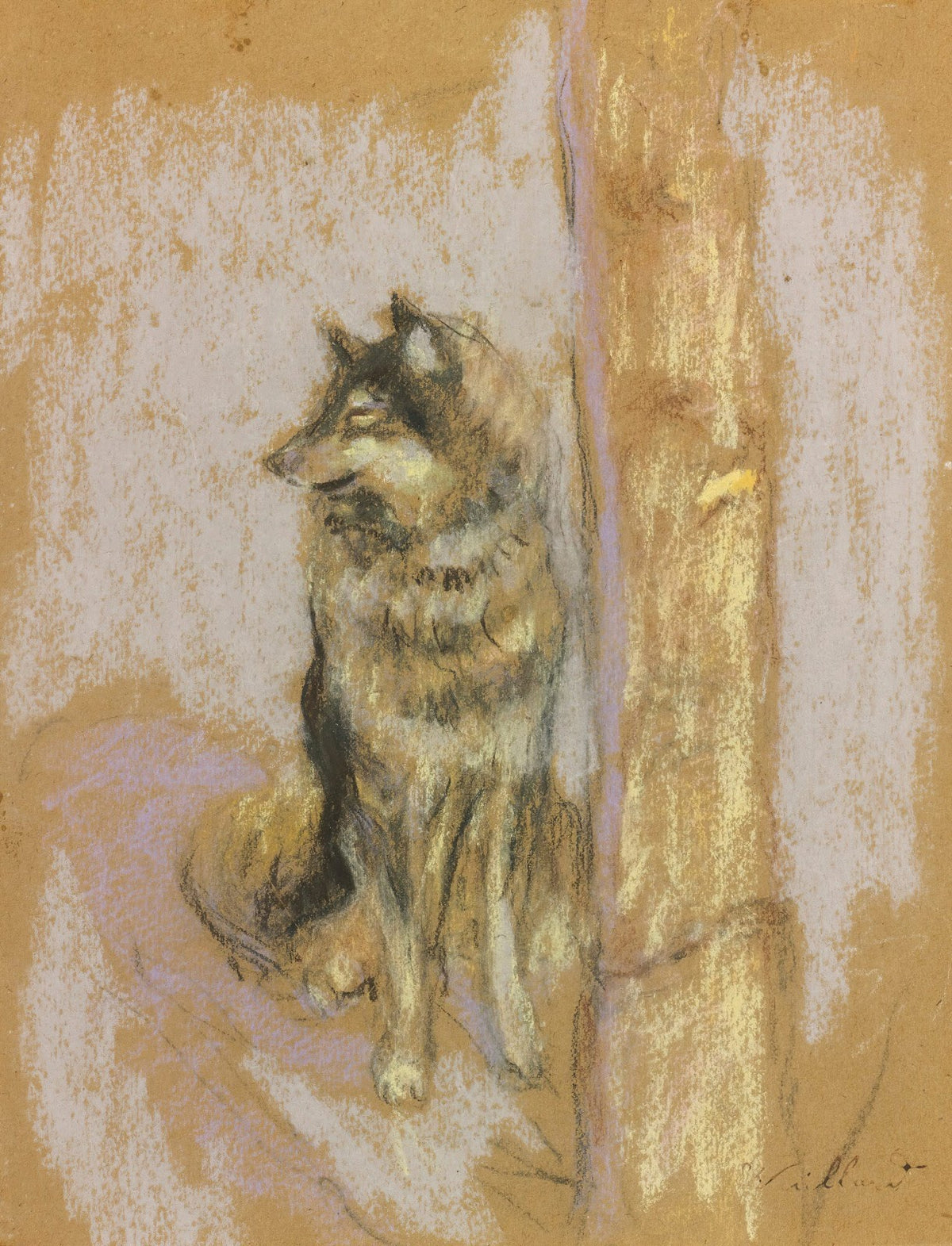 Le Chien LoupÀ Gérardmer