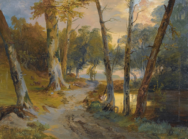 Wald Mit Kleinem Weiher Forest Interior With Pond