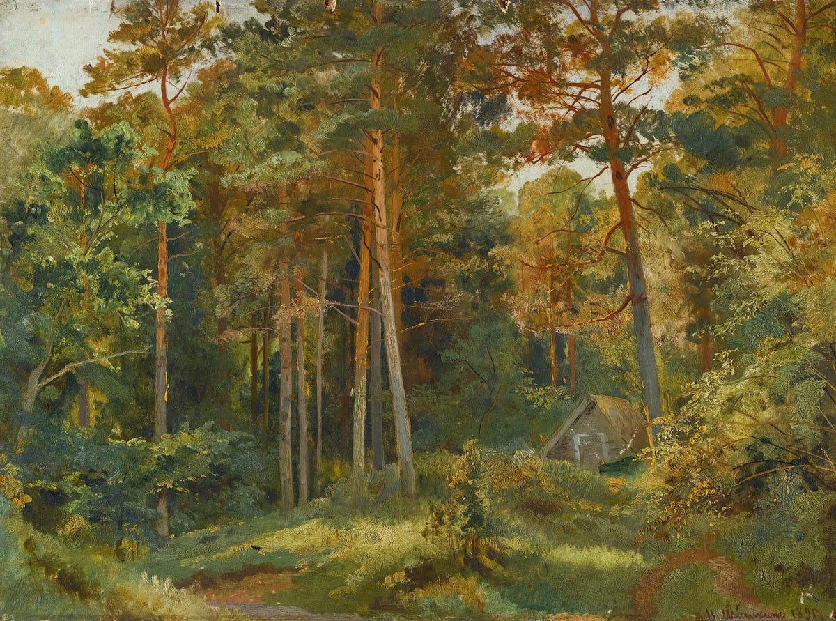 The Mill In The Forest 1896