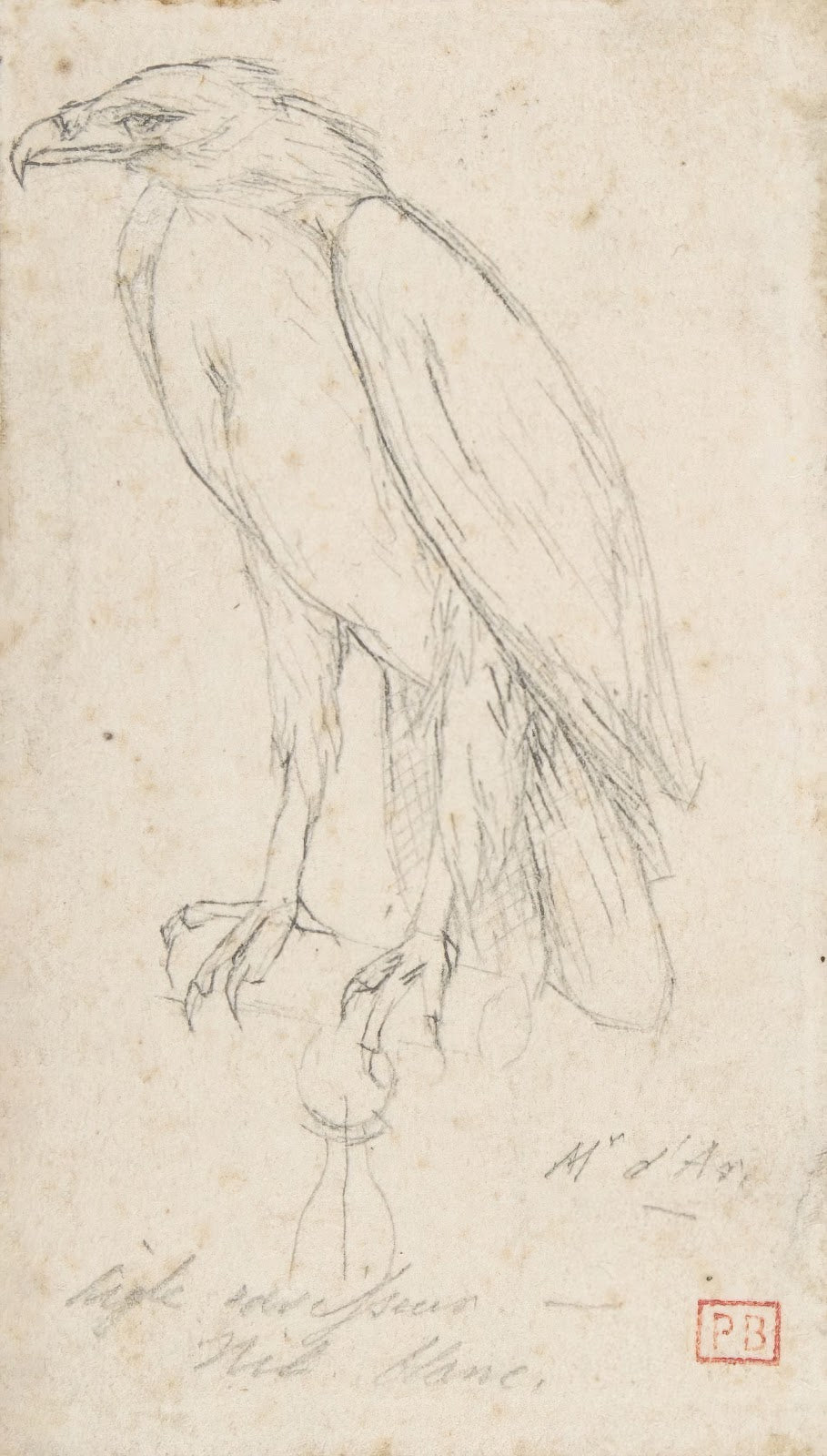 A Golden Eagle after 1859