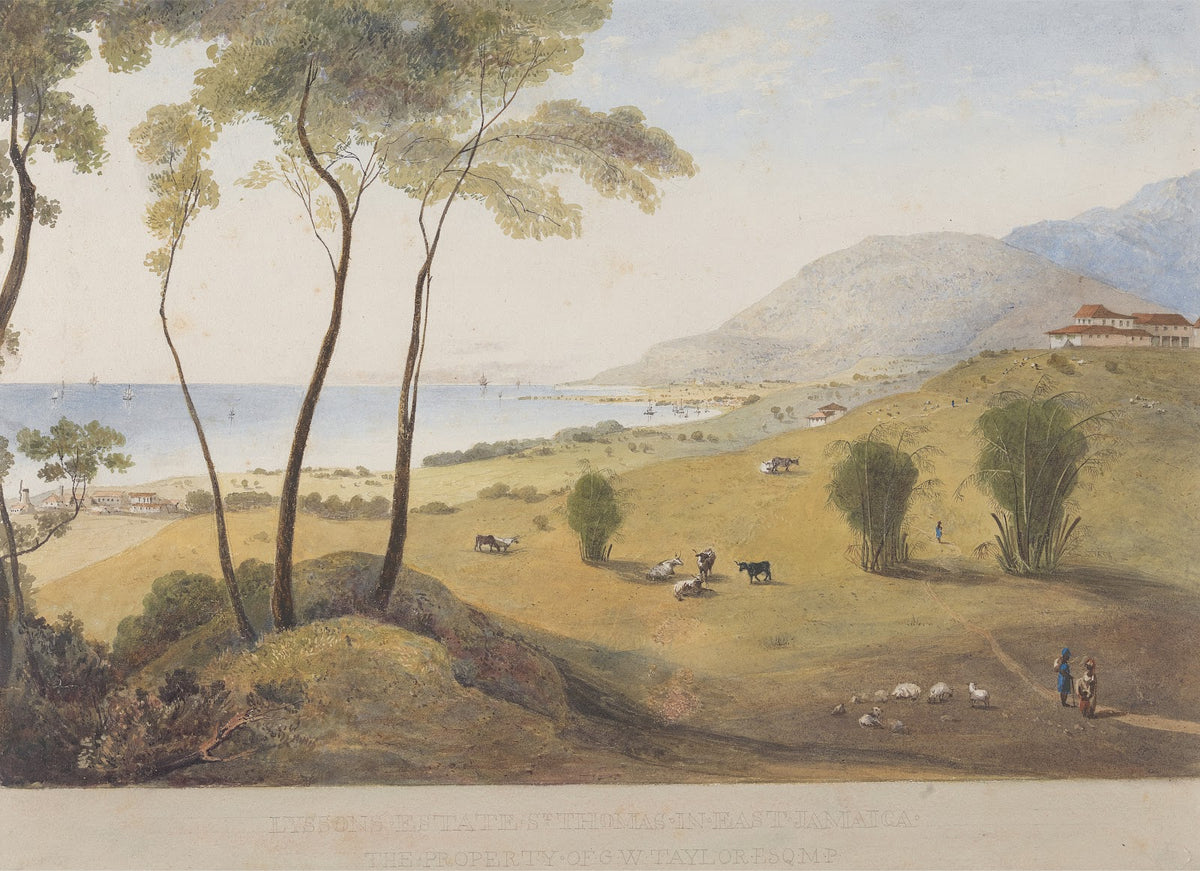 Lyssons Estate St Thomas in the East Jamaica between 1820 and 1821