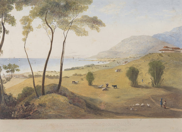 Lyssons Estate St Thomas in the East Jamaica between 1820 and 1821