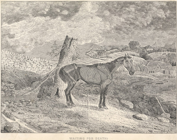 Waiting for Death 1832