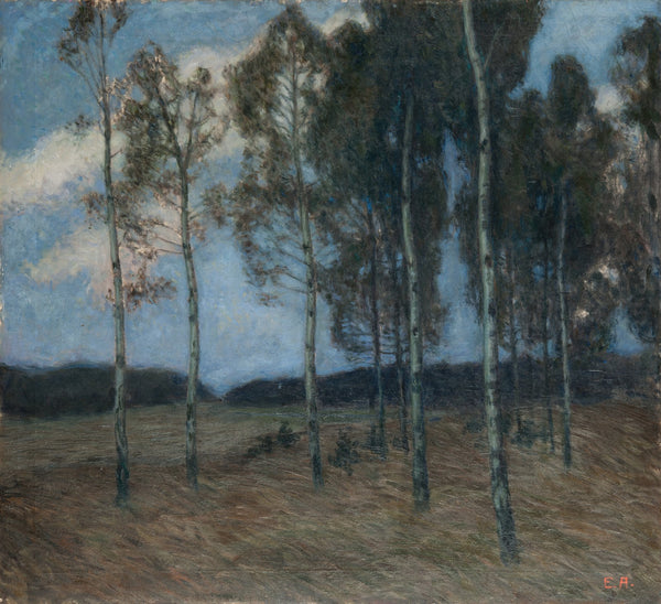 Birch Grove after Sunset before 1900