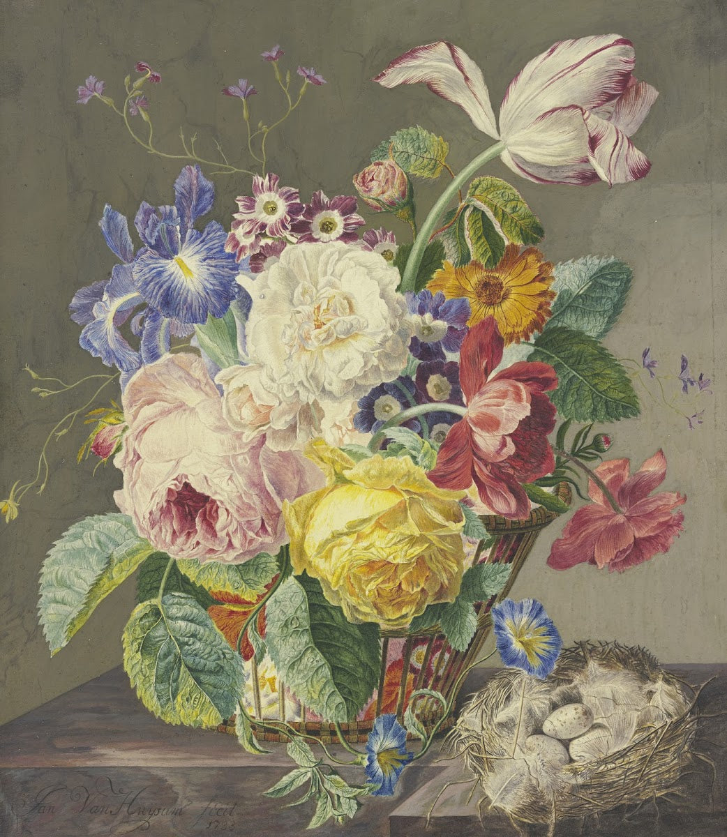 Blumenstillleben Mit Vogeleiern 1733