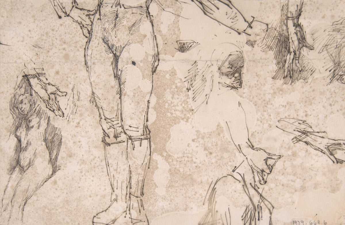 Studies of Female Nude Hands and Male Torso