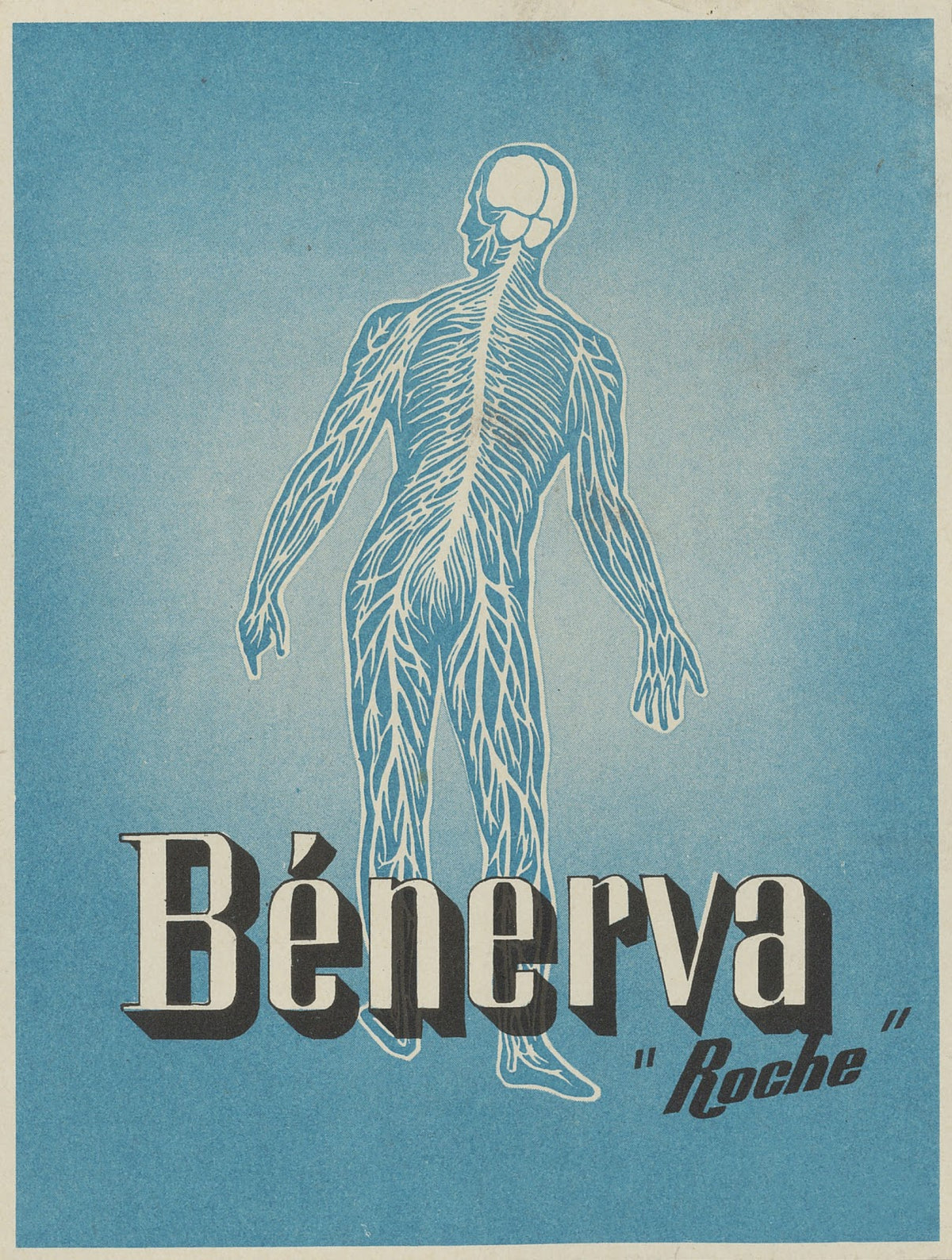 Bénerva 1910 1950