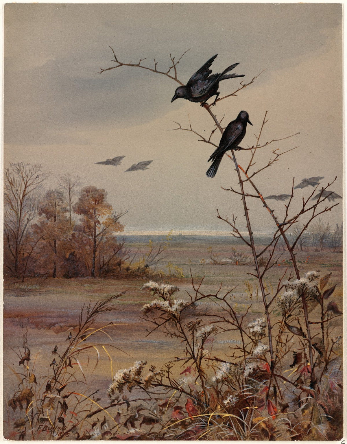 November 1876