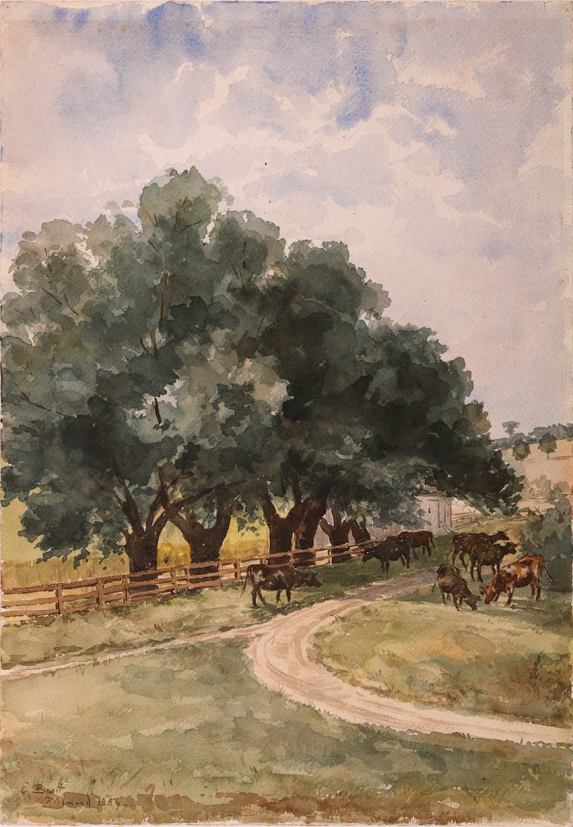 Richmond 1884