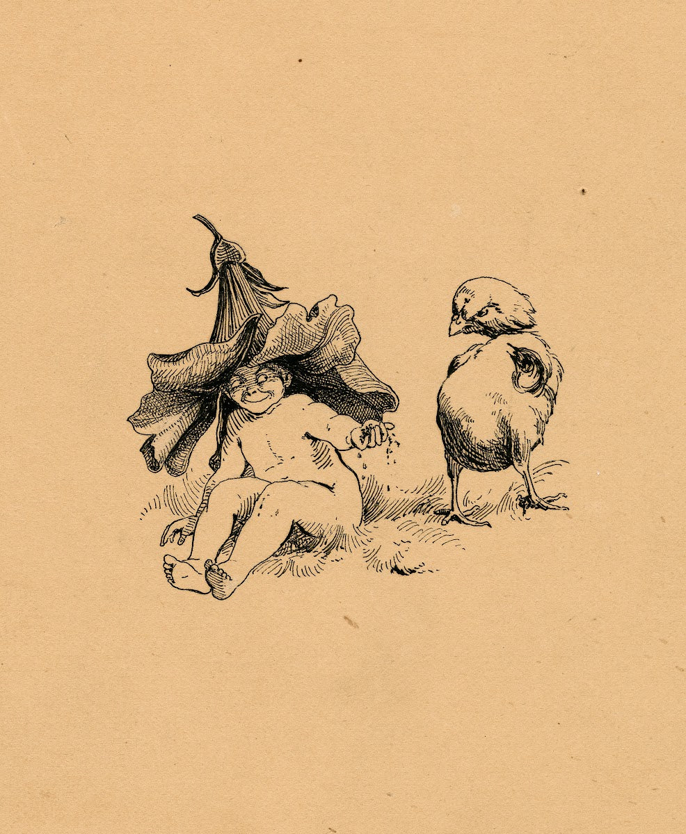 Illustration from A Midsummer nights dream 1901