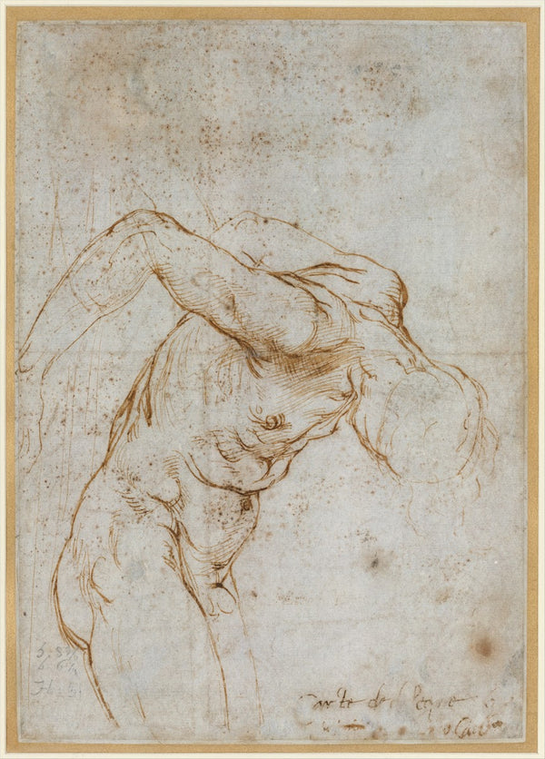 Study of a Nude Male Figure ca 15067