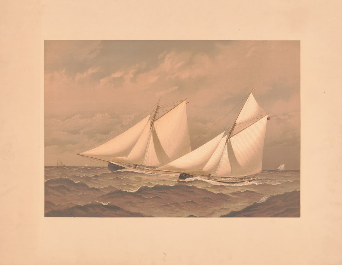 American yachts extra plate for the Americas Cup 1885 near the finish Purtian