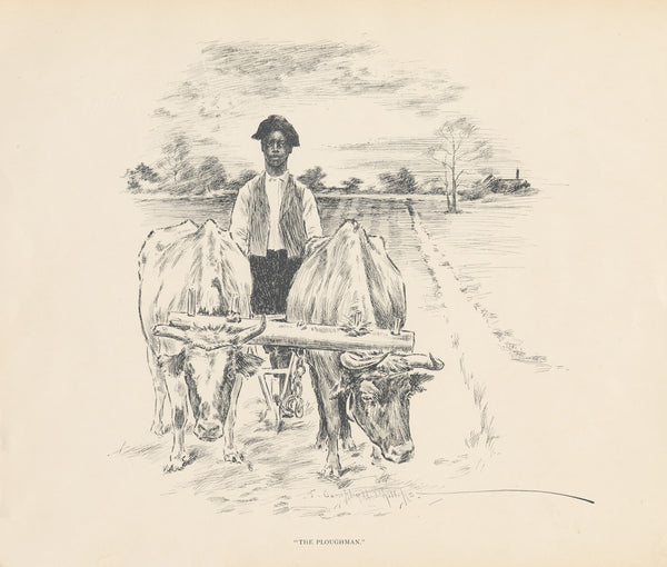 The ploughman 1899