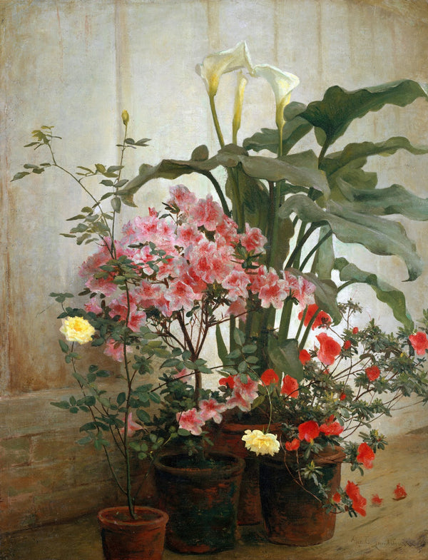 Side of a Greenhouse 187080