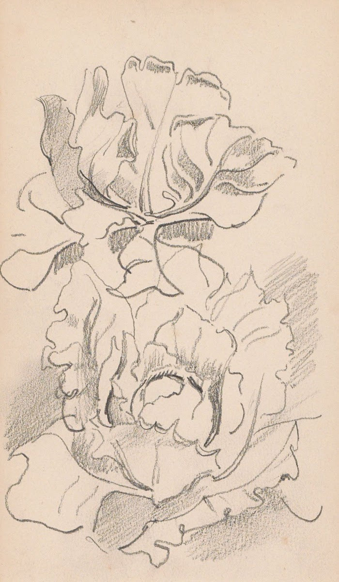 Bloemen 1892 1901