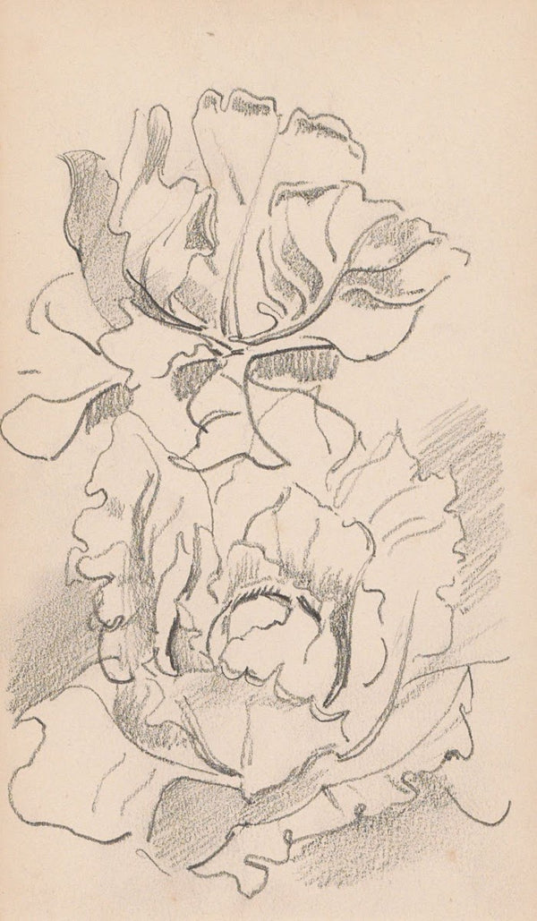 Bloemen 1892 1901