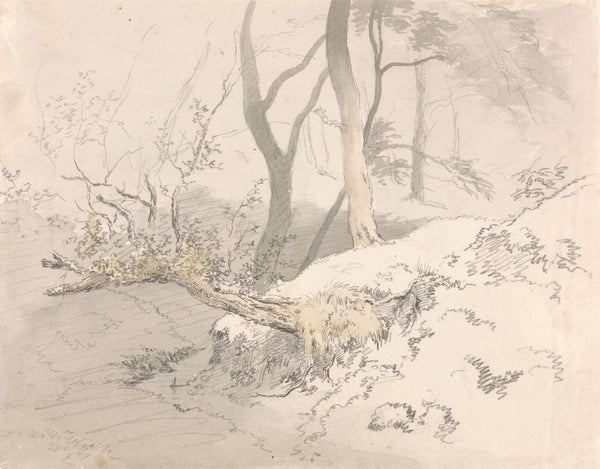 Woodland Shadow after 1801
