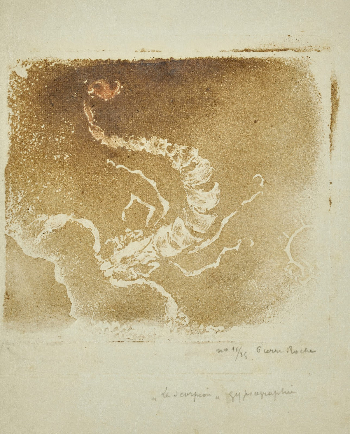 Scorpion 1897
