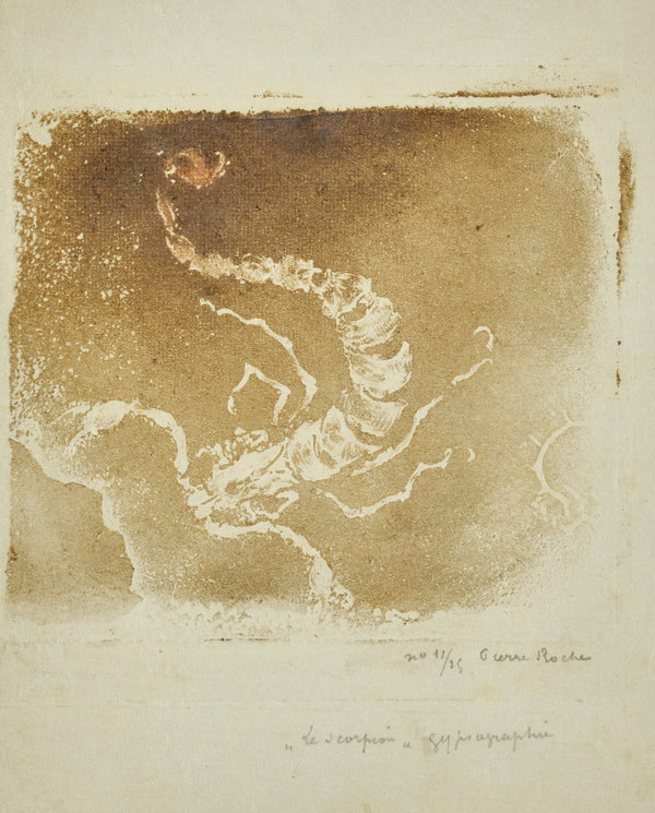 Scorpion 1897