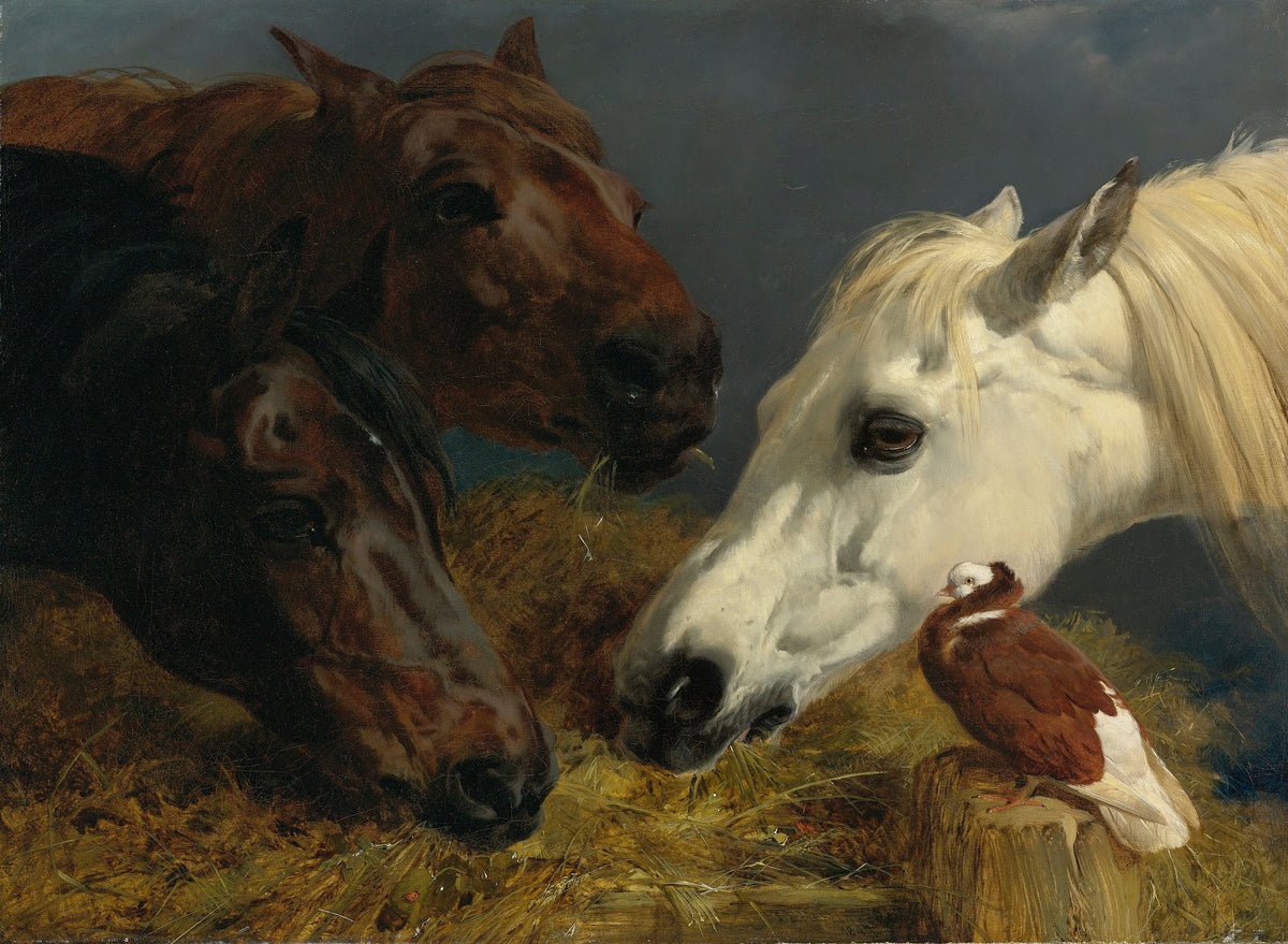 Farmyard Friends 1847