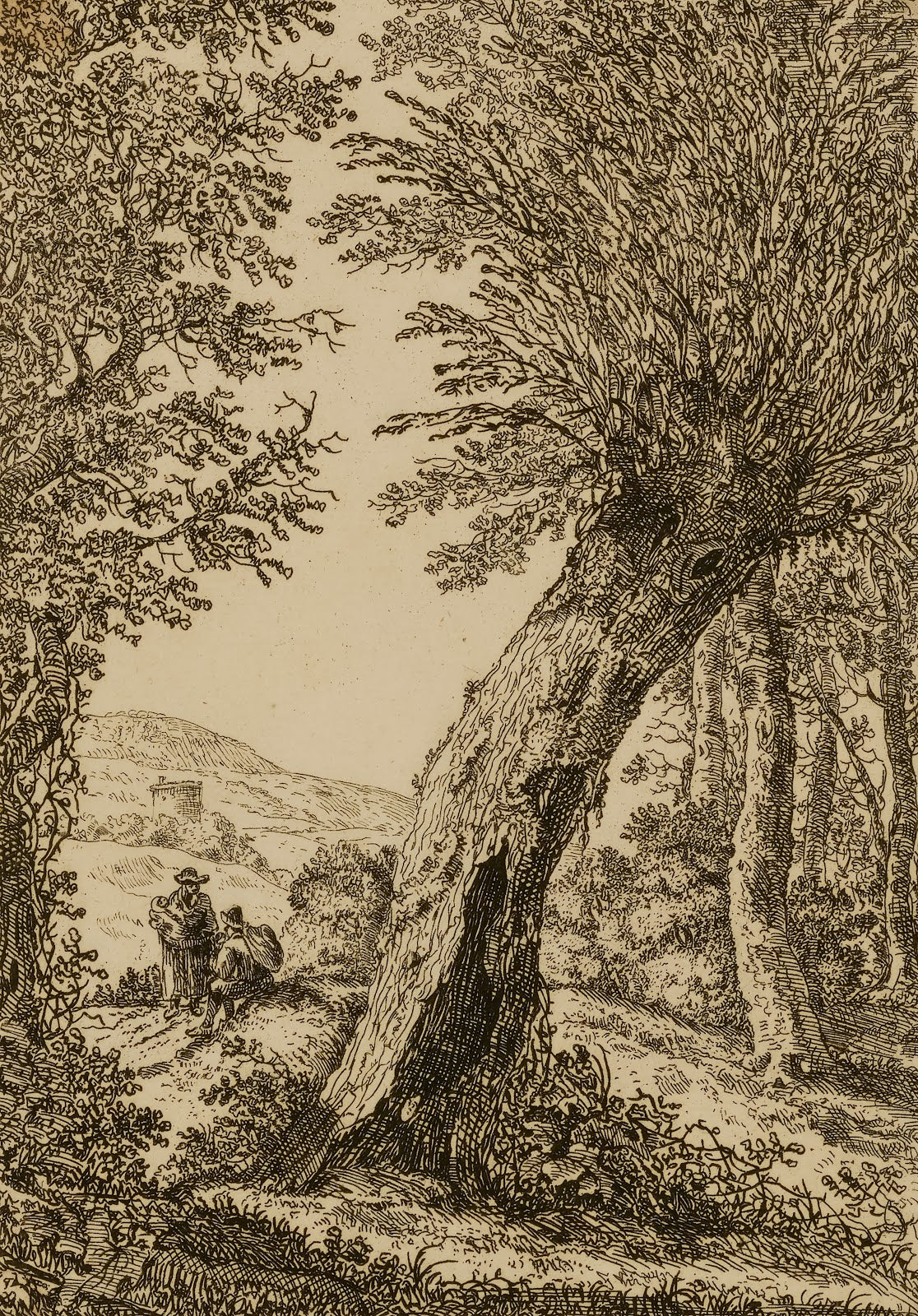 Landscape with Willow