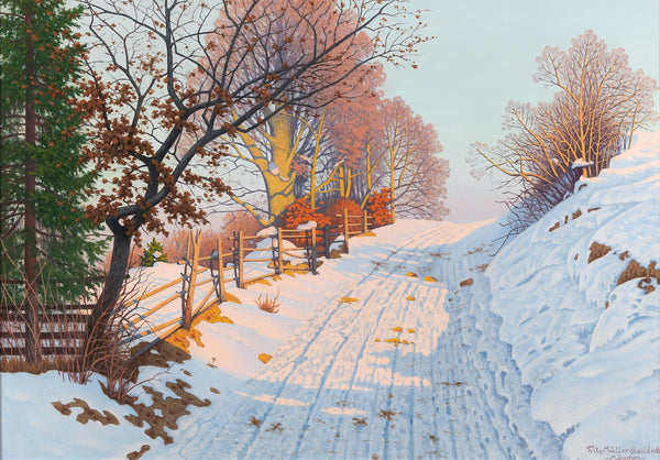 A Sunny Winter Path