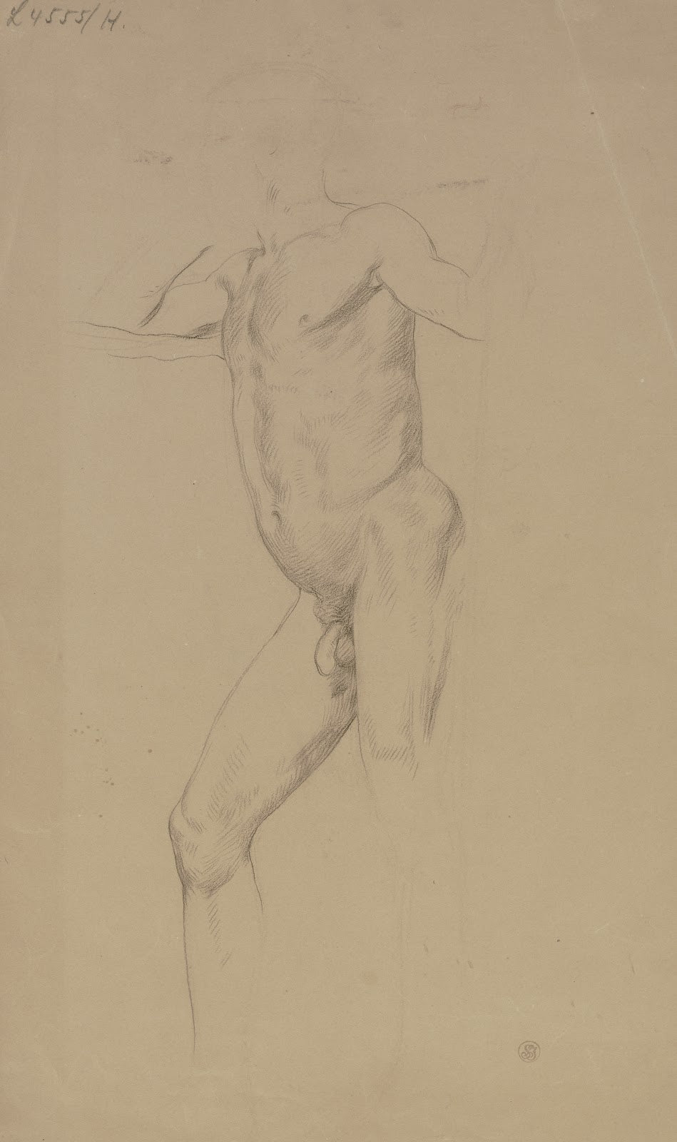 Standing male nude