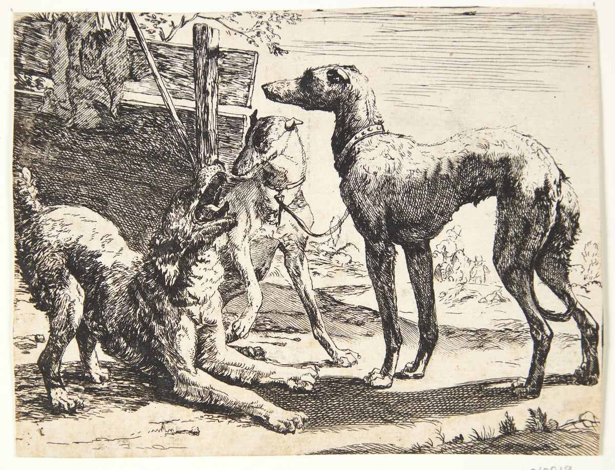 Tre hunde 1654