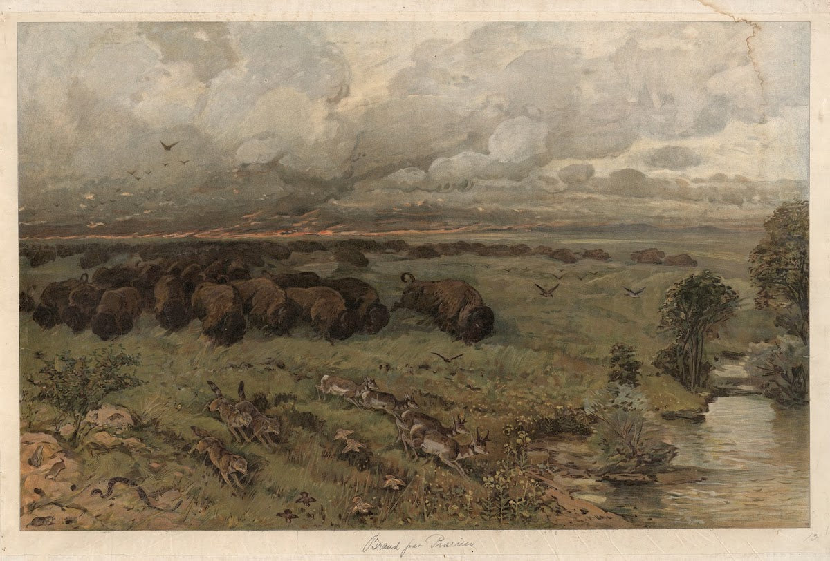 Prairie fire 1920