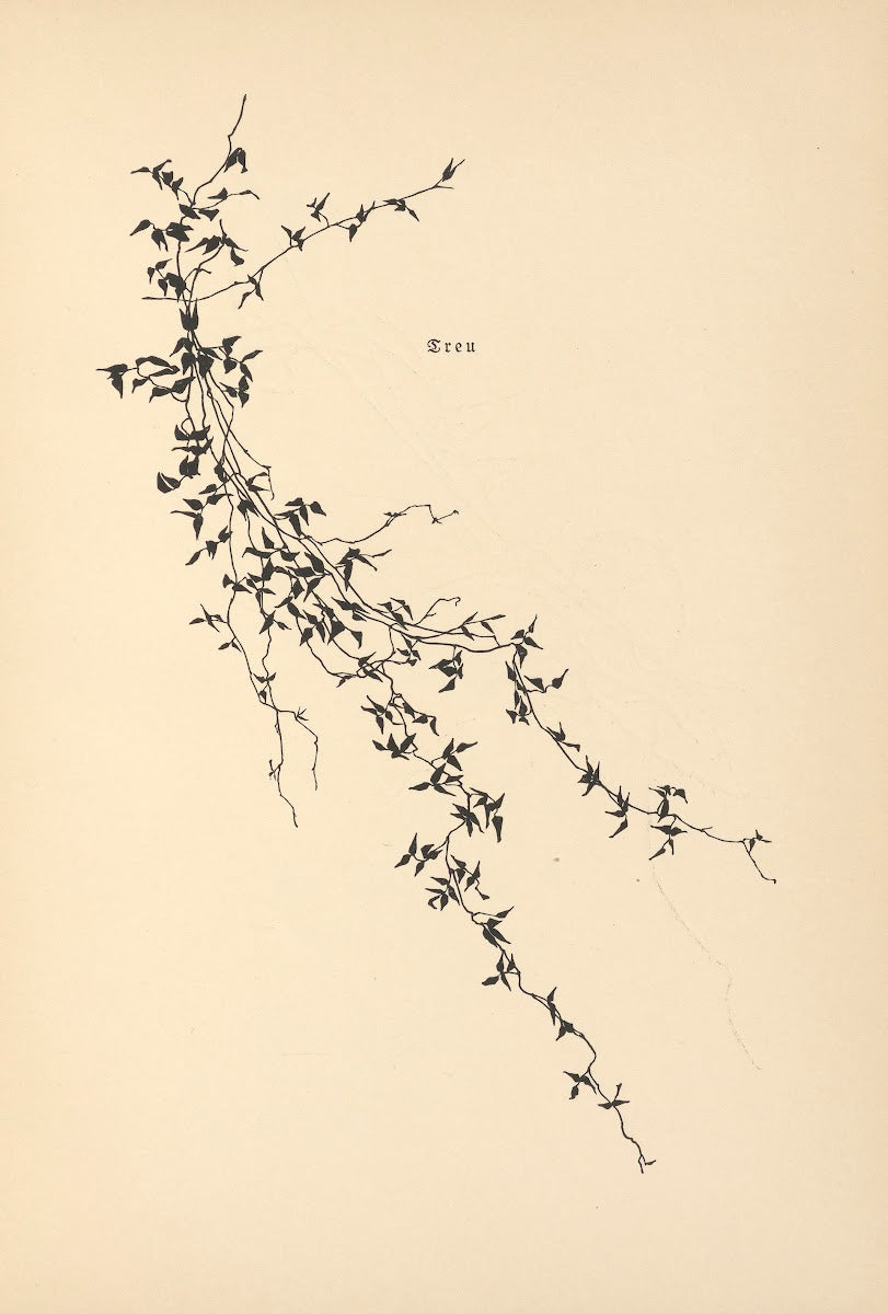 Vertrauen Pl06 1933