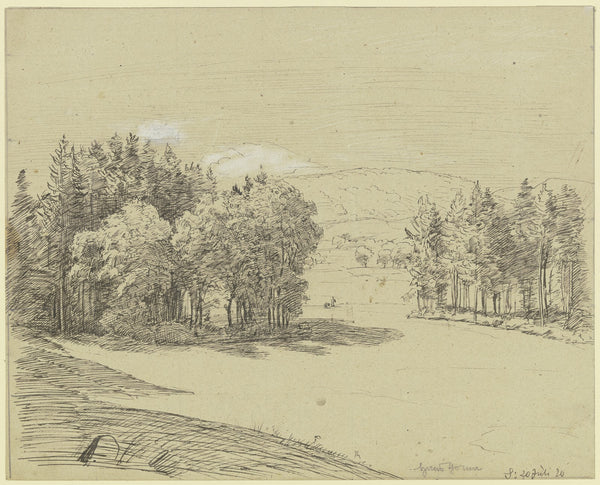 Forest landscape 1920