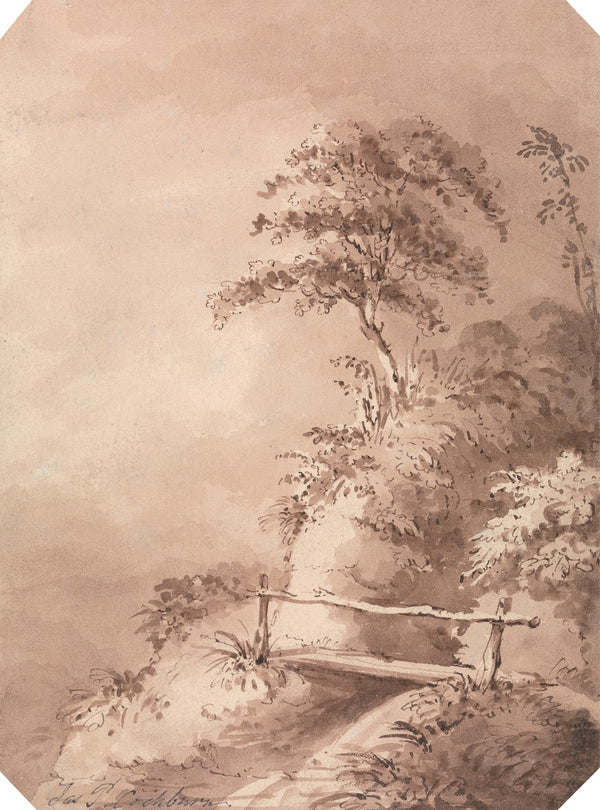 Footbridge over Hilly Stream