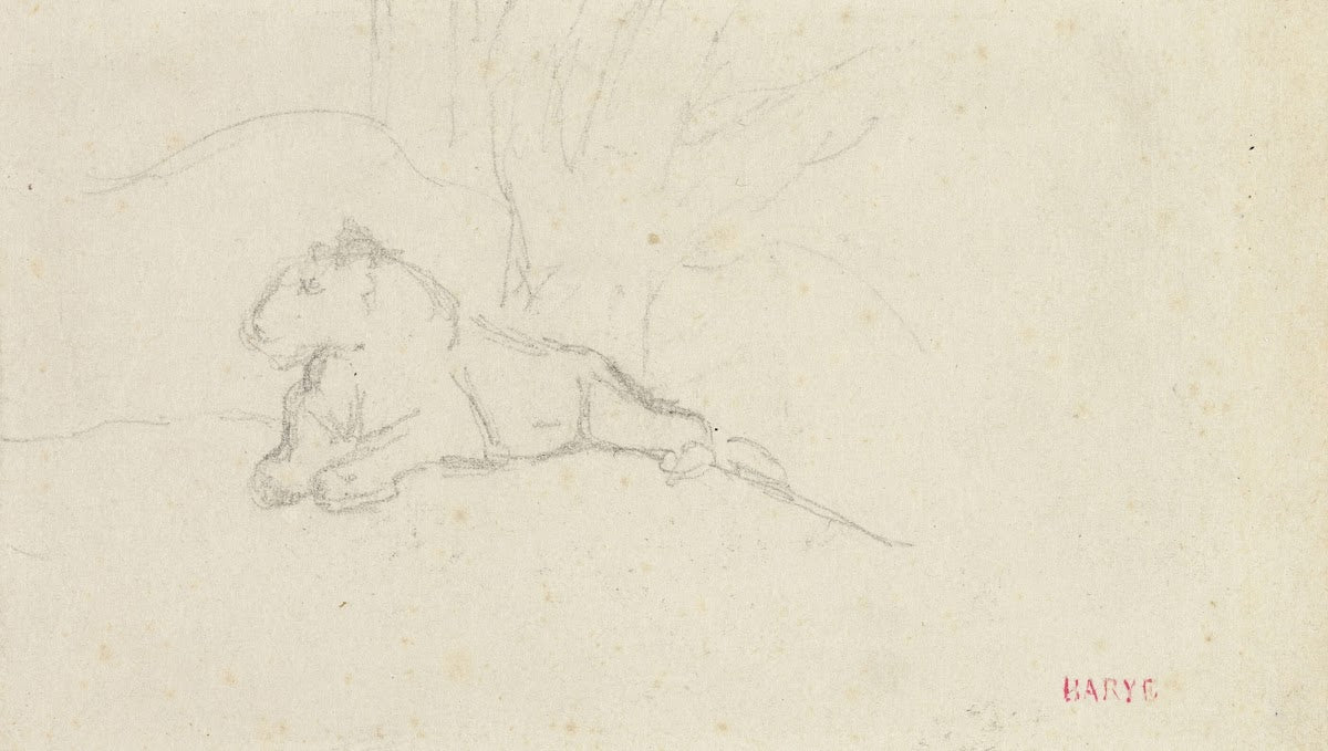 Lioness Lying near a Tree