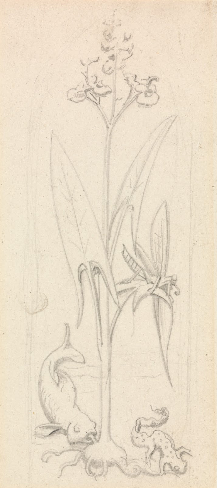 Stained Glass Study Water Plant with Grasshoper Fish and Newt