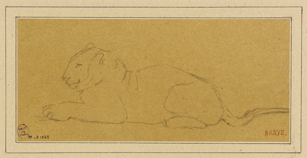 Tigre de profil couché à gauche 19th century