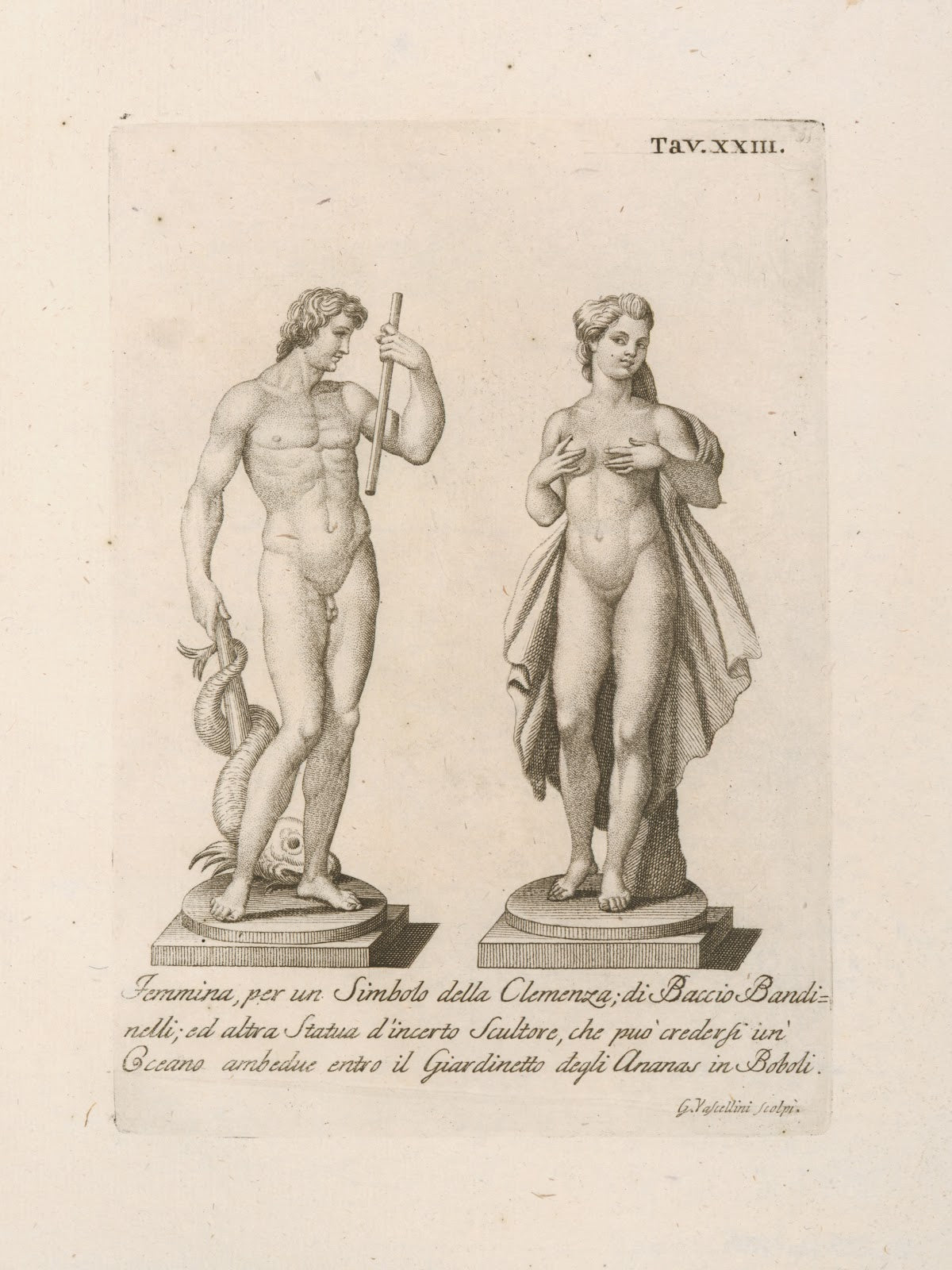 Femmina per un Simbolo della Clemenza di Baccio Bandinelli 1789