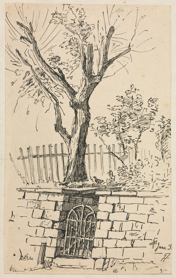 Tree on Top of a Stone Wall Cleveland c 1870 1909