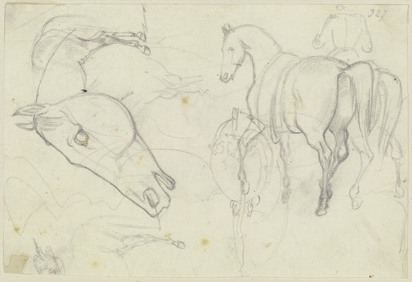 Studies of horses