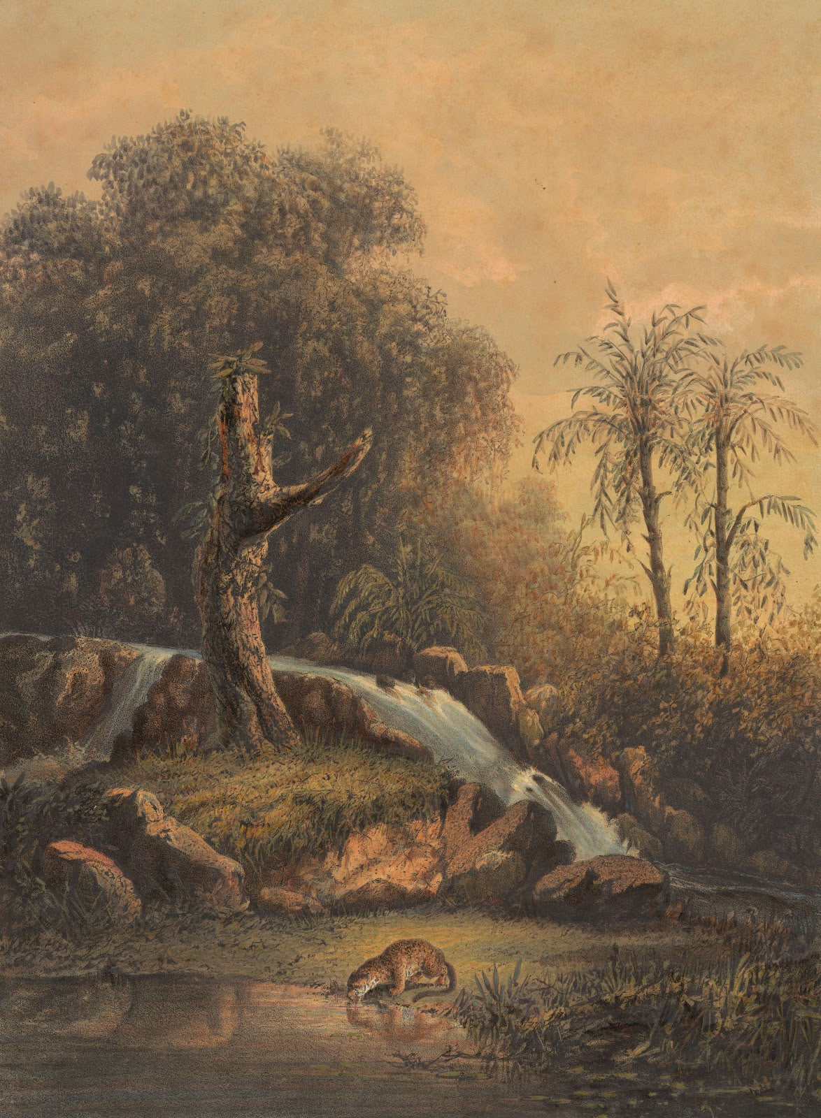 Landschap met waterval en drinkend luipaard Woest landschap oosthoek van Java 18